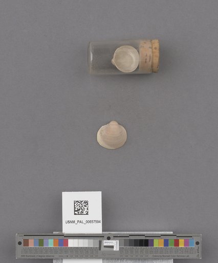 NSF ADBC EPICC TCN