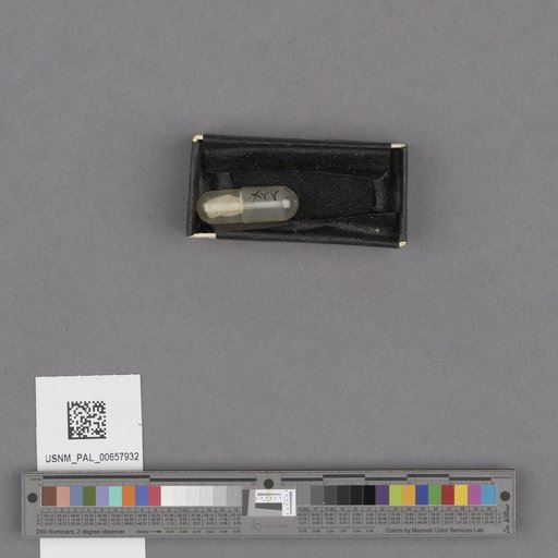 NSF ADBC EPICC TCN