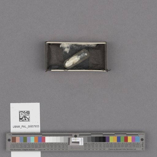 NSF ADBC EPICC TCN