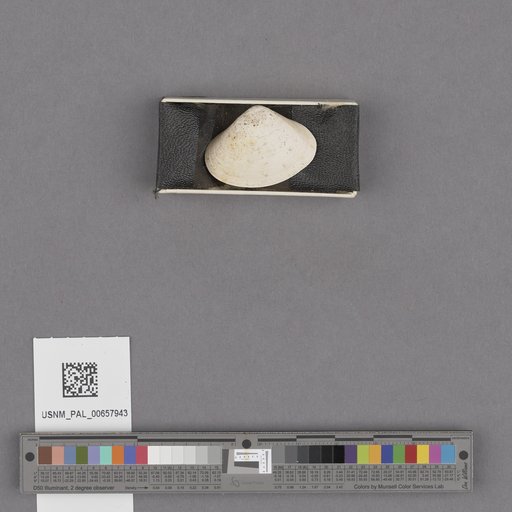 NSF ADBC EPICC TCN