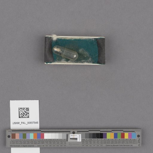 NSF ADBC EPICC TCN