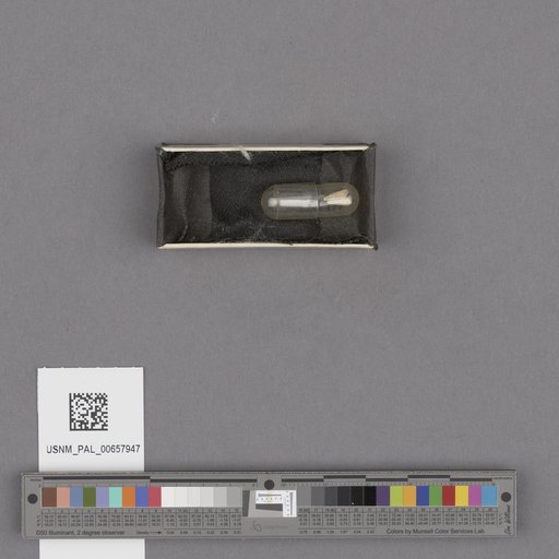 NSF ADBC EPICC TCN