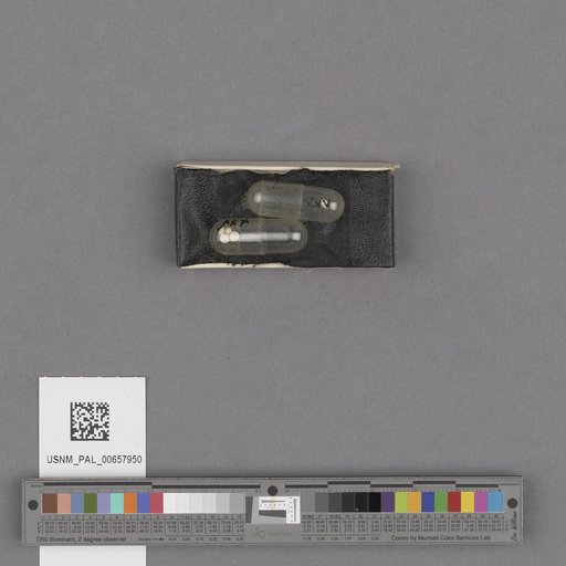 NSF ADBC EPICC TCN