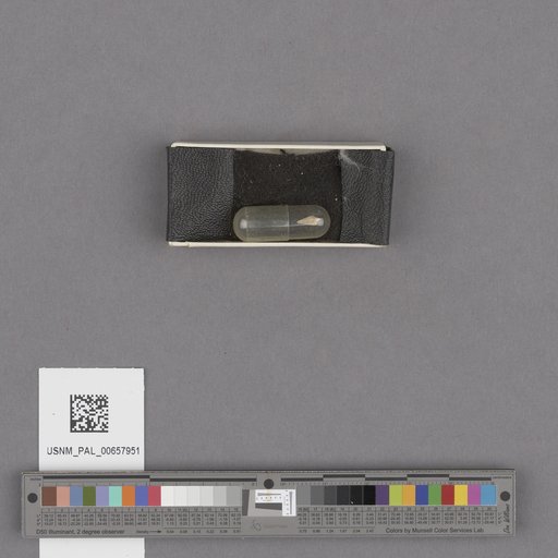 NSF ADBC EPICC TCN
