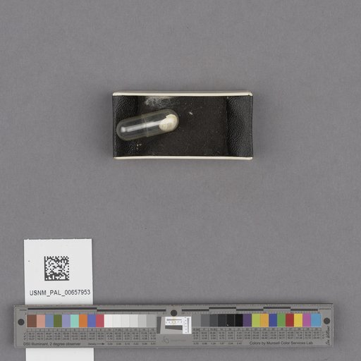 NSF ADBC EPICC TCN