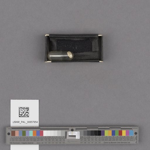 NSF ADBC EPICC TCN