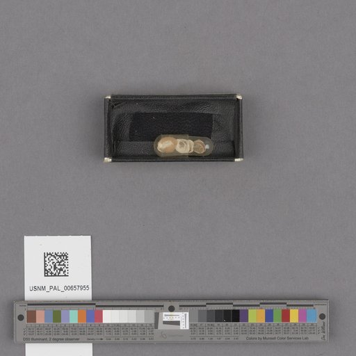 NSF ADBC EPICC TCN
