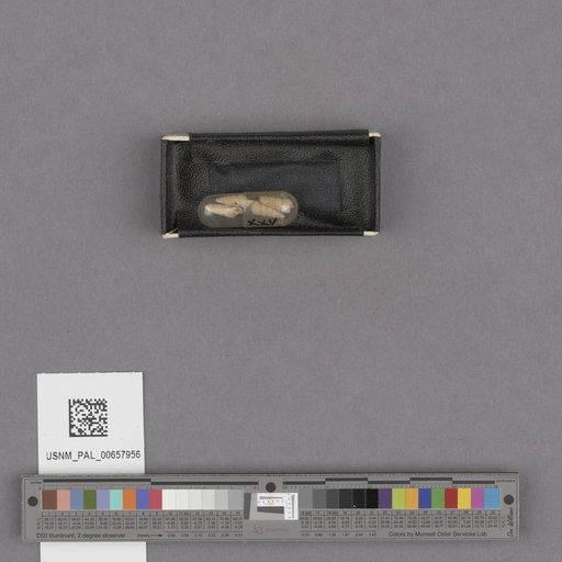 NSF ADBC EPICC TCN