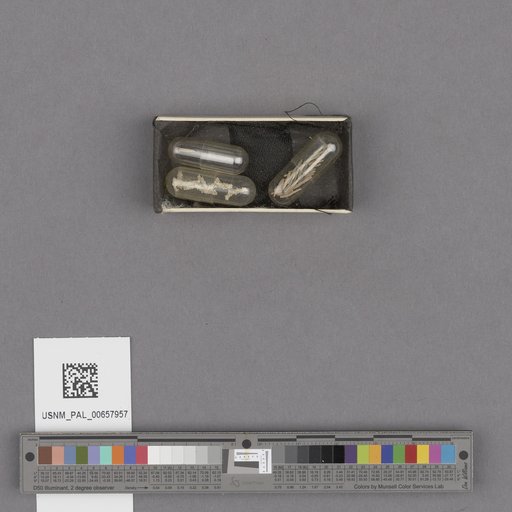 NSF ADBC EPICC TCN