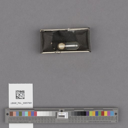 NSF ADBC EPICC TCN