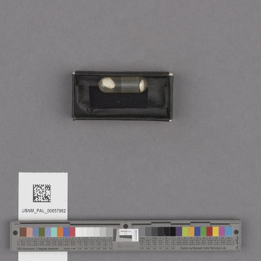 NSF ADBC EPICC TCN