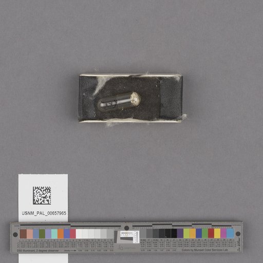 NSF ADBC EPICC TCN
