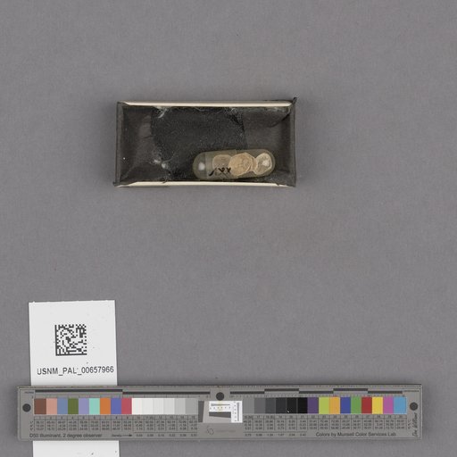NSF ADBC EPICC TCN