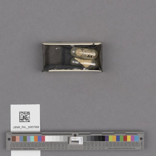 NSF ADBC EPICC TCN
