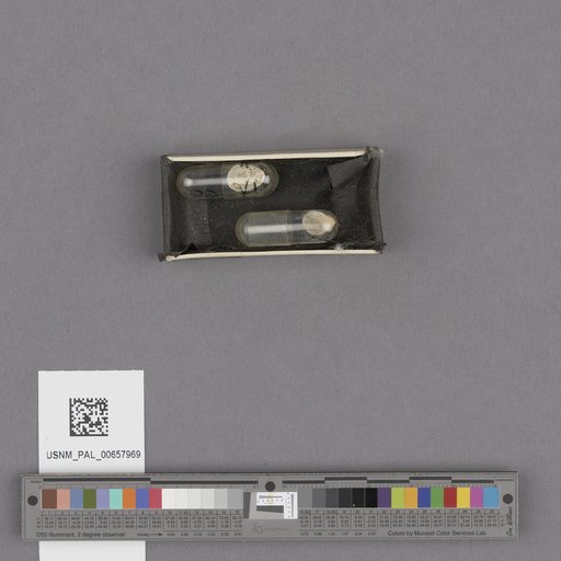 NSF ADBC EPICC TCN