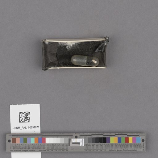 NSF ADBC EPICC TCN