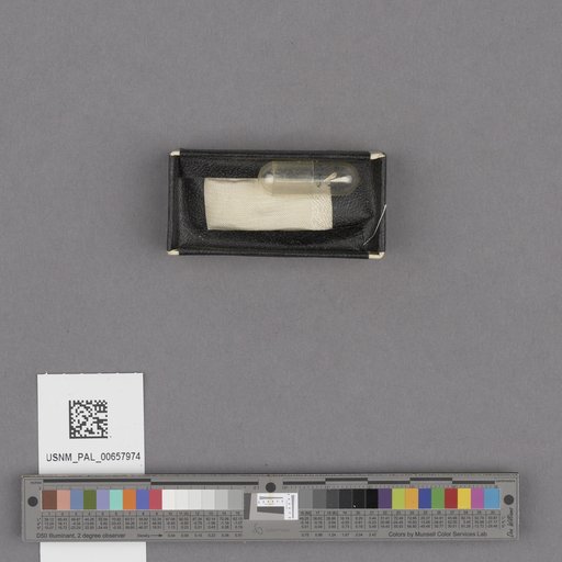 NSF ADBC EPICC TCN