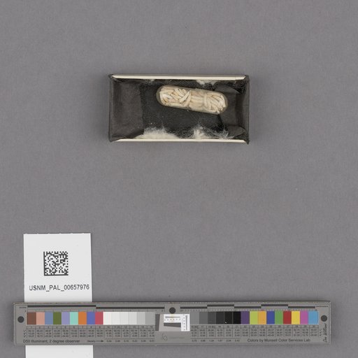 NSF ADBC EPICC TCN