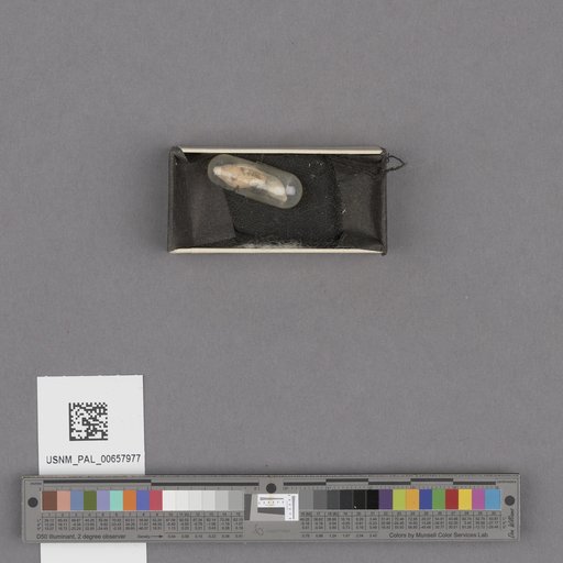 NSF ADBC EPICC TCN