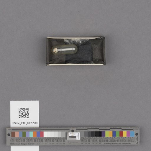 NSF ADBC EPICC TCN