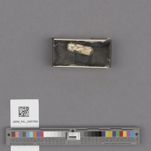 NSF ADBC EPICC TCN