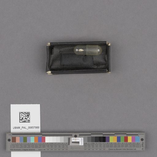 NSF ADBC EPICC TCN