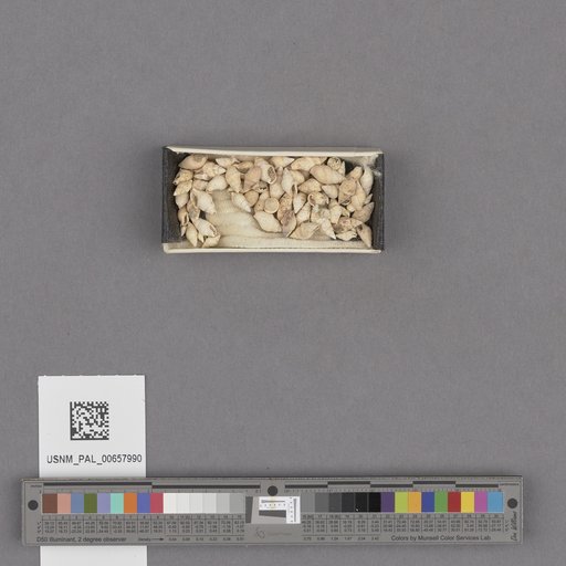 NSF ADBC EPICC TCN