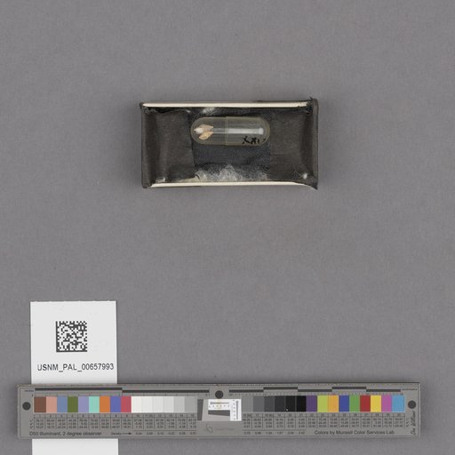 NSF ADBC EPICC TCN