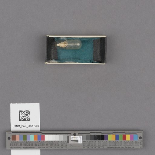 NSF ADBC EPICC TCN