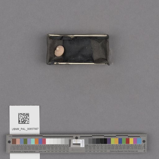 NSF ADBC EPICC TCN