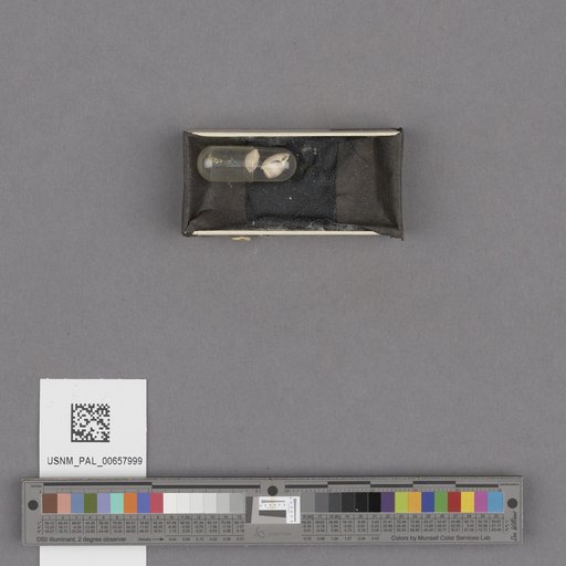 NSF ADBC EPICC TCN