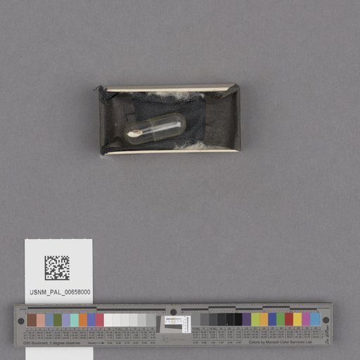 NSF ADBC EPICC TCN