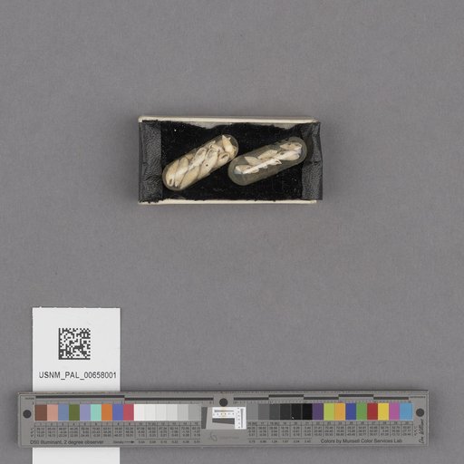 NSF ADBC EPICC TCN