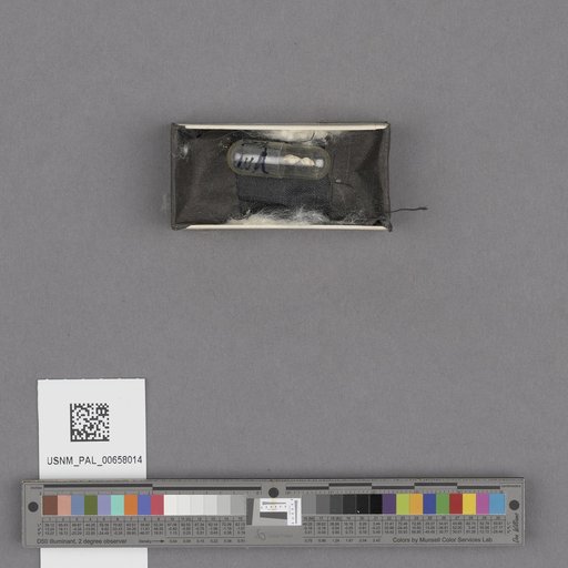 NSF ADBC EPICC TCN