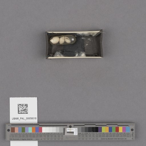NSF ADBC EPICC TCN