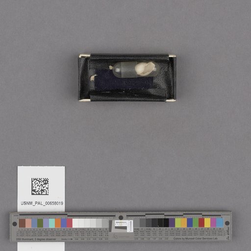 NSF ADBC EPICC TCN