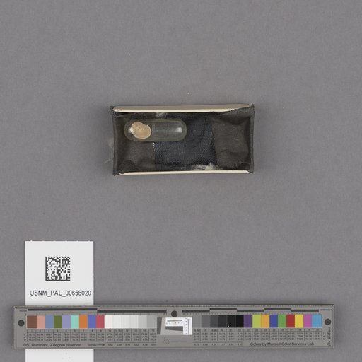 NSF ADBC EPICC TCN