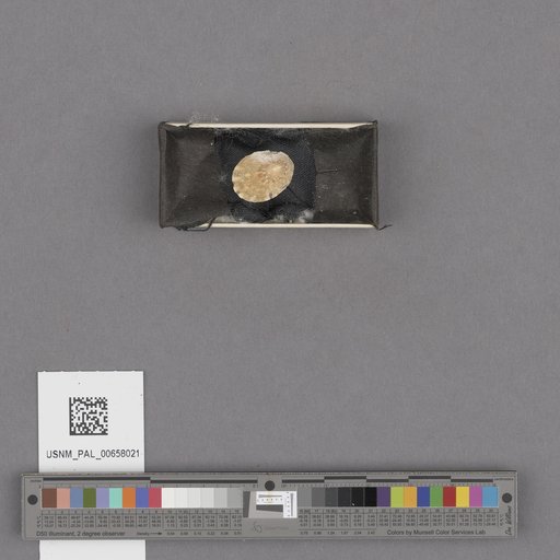 NSF ADBC EPICC TCN