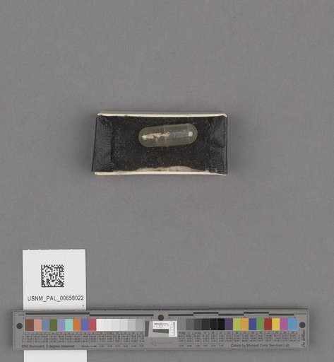 NSF ADBC EPICC TCN