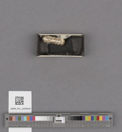 NSF ADBC EPICC TCN