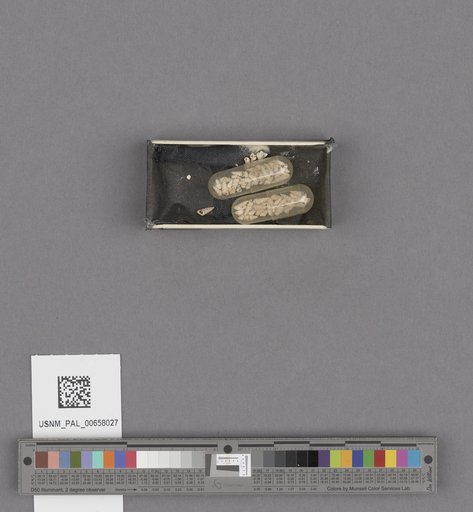 NSF ADBC EPICC TCN