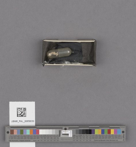 NSF ADBC EPICC TCN