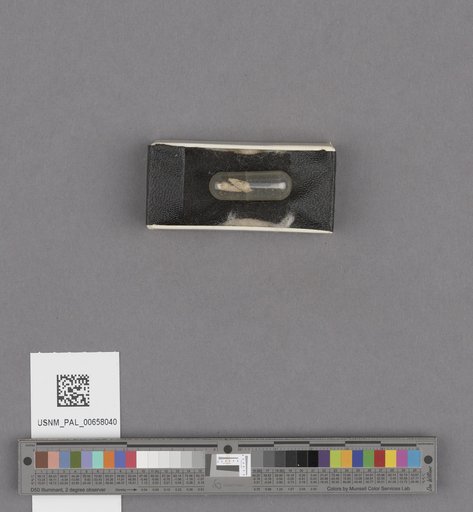 NSF ADBC EPICC TCN