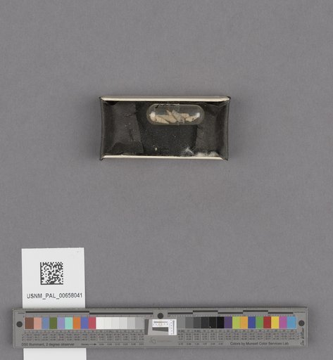 NSF ADBC EPICC TCN