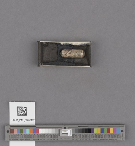 NSF ADBC EPICC TCN