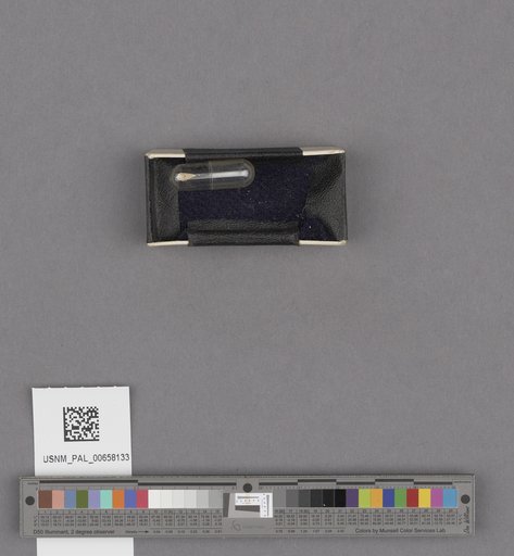 NSF ADBC EPICC TCN