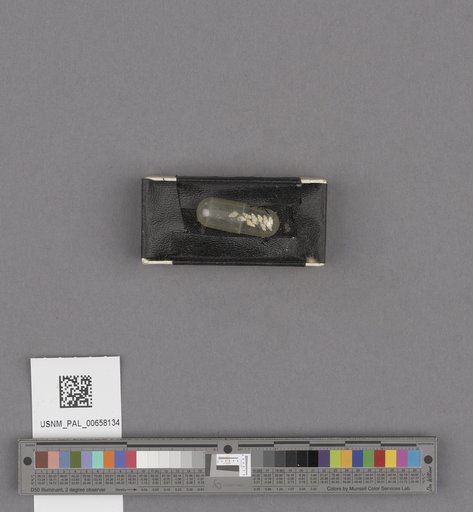 NSF ADBC EPICC TCN