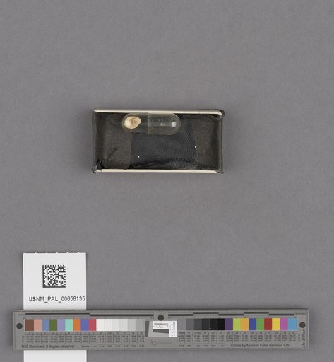 NSF ADBC EPICC TCN