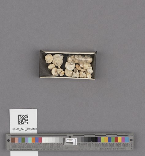 NSF ADBC EPICC TCN