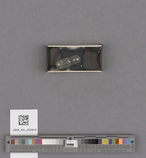 NSF ADBC EPICC TCN